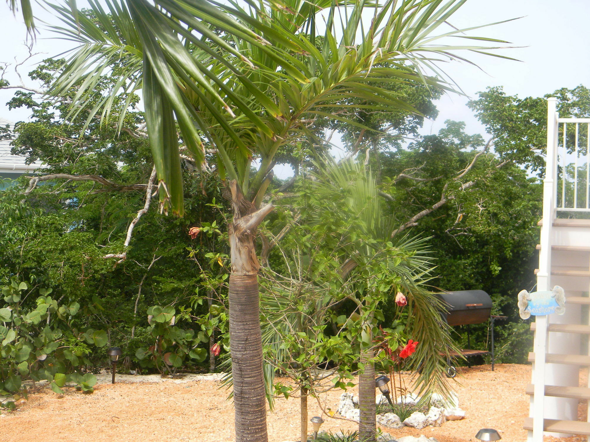 Harbor Breeze Villas Clarence Town Exterior photo